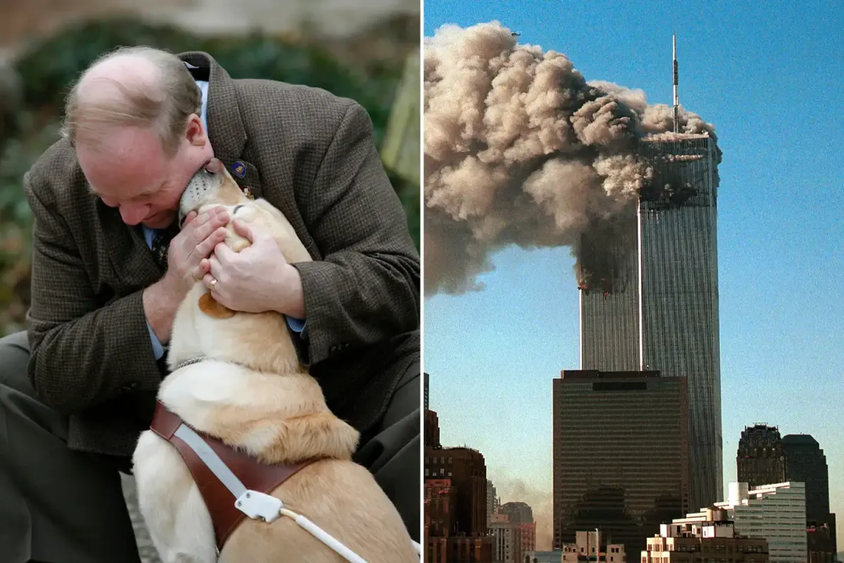 Kör Bir Adam ve Sadık Köpeği, Yanan Dünya Ticaret Merkezi'nin 78. Katından Nasıl Kurtuldu?