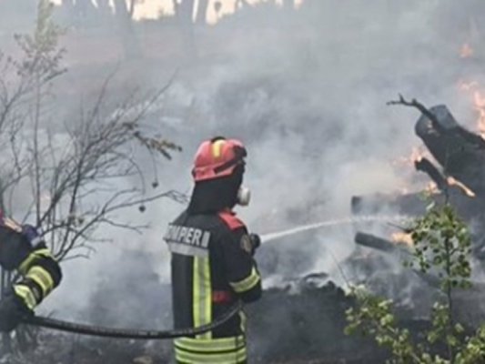 Atina ve Evia Adası Çevresinde Dört Büyük Orman Yangını