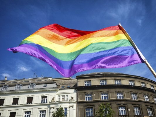 Macaristan'ın yeni hükümeti LGBT+ içerik kısıtlamalarının kaldırılmasını öneriyor
