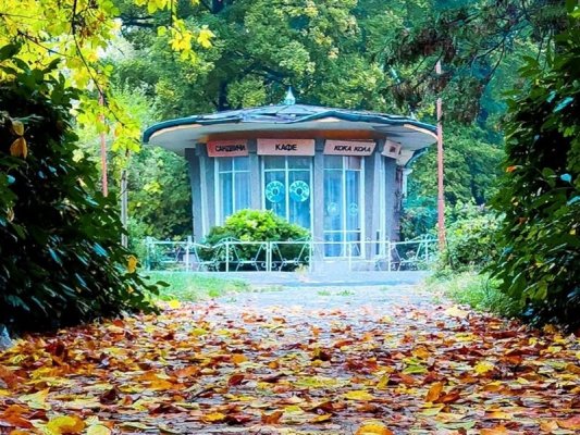 Vatandaş şikayetleri sonrası Vırşeç'teki Boroviya Parkı spor sahaları onarılıyor