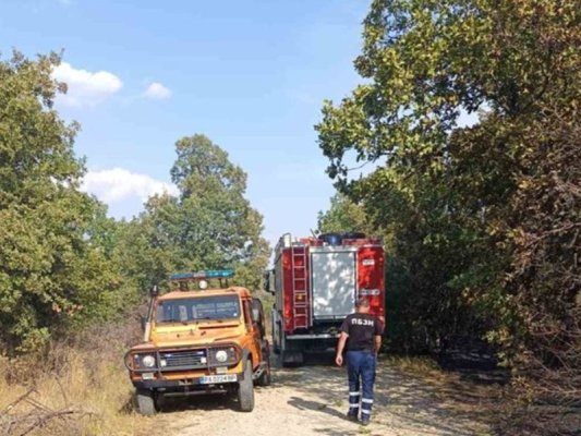 Trakya Otoyolu'nda Kuru Otlardan Çıkan Yangın Söndürüldü