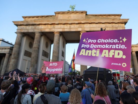 Almanya'da AFD Zaferini Protesto Eden Gösterici Yüzünden Vuruldu