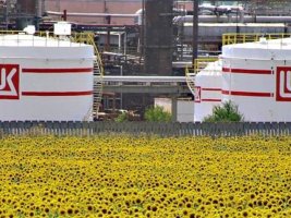 ABD, Lukoil'in yabancı varlıklarının satış lisansını 22 Ekim'e kadar uzattı