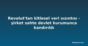 Revolut'tan kitlesel veri sızıntısı - şirket sahte devlet kurumunca kandırıldı