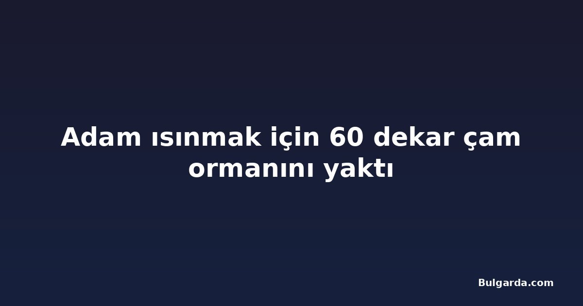 Adam ısınmak için 60 dekar çam ormanını yaktı