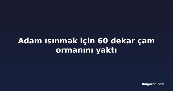 Adam ısınmak için 60 dekar çam ormanını yaktı