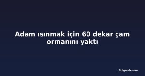Adam ısınmak için 60 dekar çam ormanını yaktı