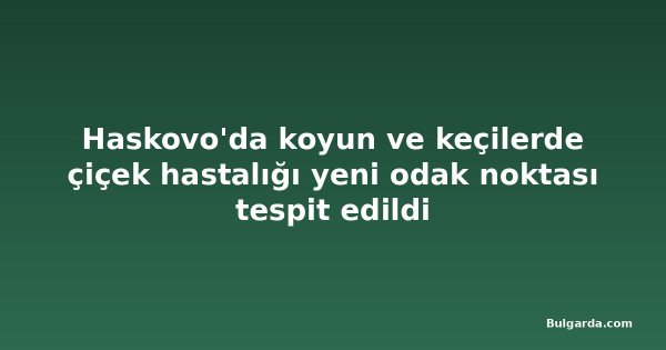 Haskovo'da koyun ve keçilerde çiçek hastalığı yeni odak noktası tespit edildi