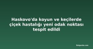 Haskovo'da koyun ve keçilerde çiçek hastalığı yeni odak noktası tespit edildi