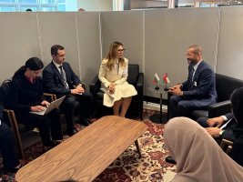 Petrova: Avrupa, Karadeniz bölgesi, Yakın Doğu ve Asya arasında stratejik bir bağlantı olabiliriz