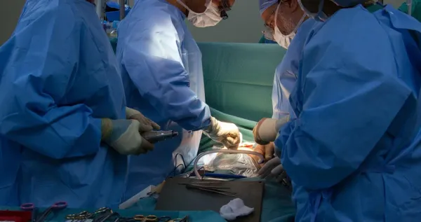 Devrim niteliğinde transplantasyon! Domuz böbreğiyle rekor süredir yaşıyor