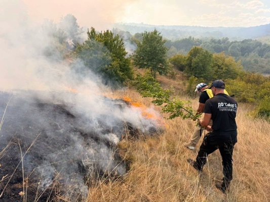 İtfaiyeciler, ormancılar ve gönüllüler Knyazhevo köyü yakınındaki yangını söndürüyor (Fotoğraflar)