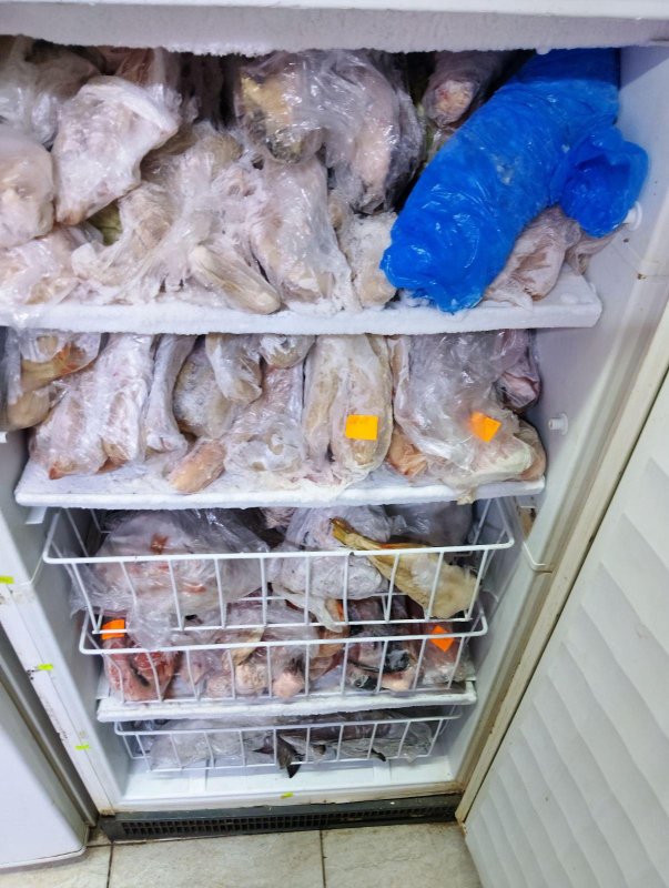 BABH, k.k. Çigov Çark'ta 290 kg'dan fazla bozuk gıda topladı
