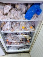 BABH, k.k. Çigov Çark'ta 290 kg'dan fazla bozuk gıda topladı