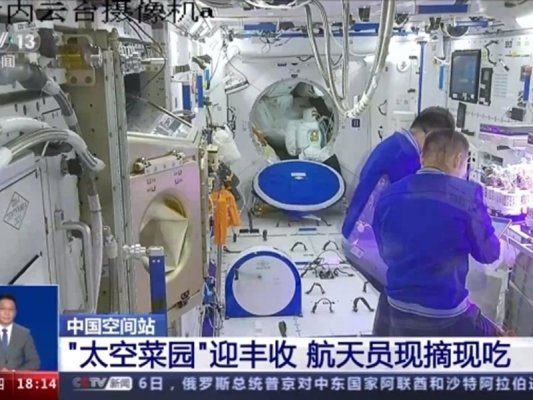 Çin Tiangong uzay istasyonunda 14 bitki türü yetiştiriyor