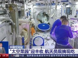 Çin Tiangong uzay istasyonunda 14 bitki türü yetiştiriyor
