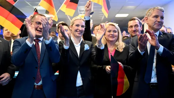 AfD'nin "Kötü Çocukları": Eski Stasi ajanı, porno aktör ve neonaziler