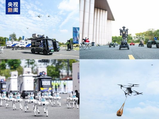 İlk akıllı robot uygulama becerileri sergisi Hangzhou'da düzenlendi