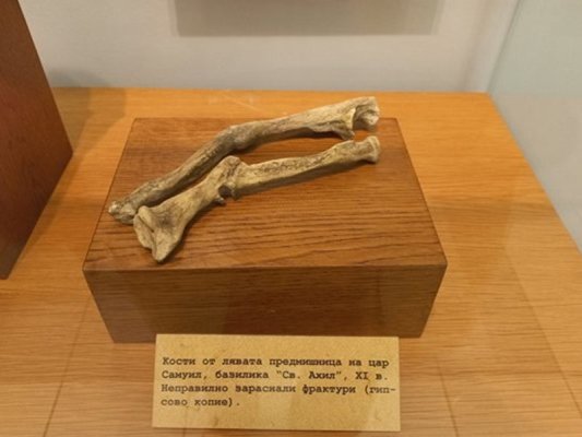 48 relikvi karşılığında çar Samuel'in kemikleri