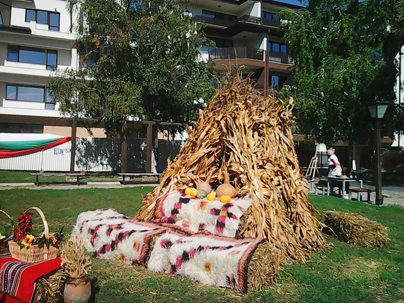 Köy muhtarı Dobrich'te yemek yarışmasında biberli patlıcan yahnisi pişiriyor