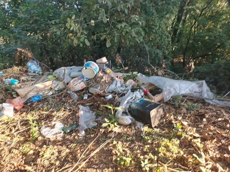 Fotokapanla yakalandı: Sviştov yakınlarında doğaya bir minibüs dolusu çöp atan kişi