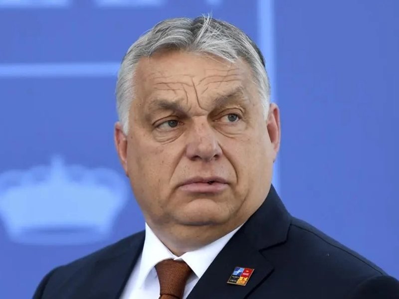 Orban'dan AfD'nin Zaferine Tebrik: Almanya ve Avrupa İçin Tarihi Gece