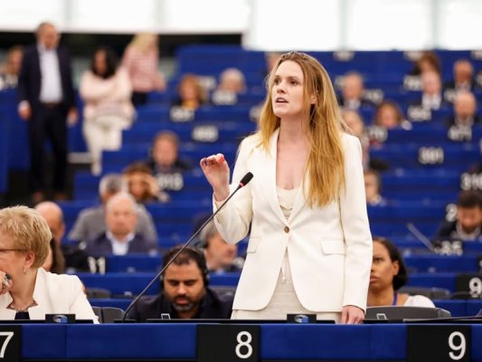 Terri Reintke, "Yeşiller Grubu": Yaz yıkıcıydı, AB'nin iklim adaptasyonu için finansmana ihtiyacı var