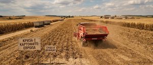 Avrupa'da yeni kriz! Vazgeçilmez sebze kayboluyor
