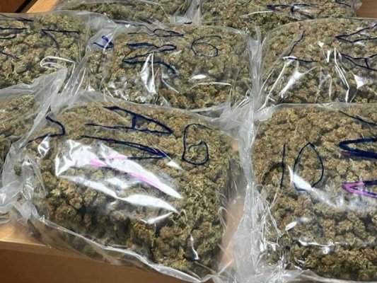 Termik santralde 2 tondan fazla el konulan marihuana yakıldı