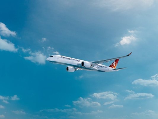 Türk pilotlar 15 mm'ye kadar sakal bırakabilecek