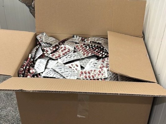Sadovo Yakınlarında Sahte İlaç Üreten Çekler, Hapis Cezasından Kurtuldu