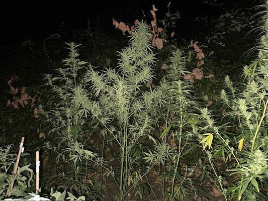 Uyuşturucu okul yakınına ekilmişti
