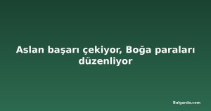 Aslan başarı çekiyor, Boğa paraları düzenliyor
