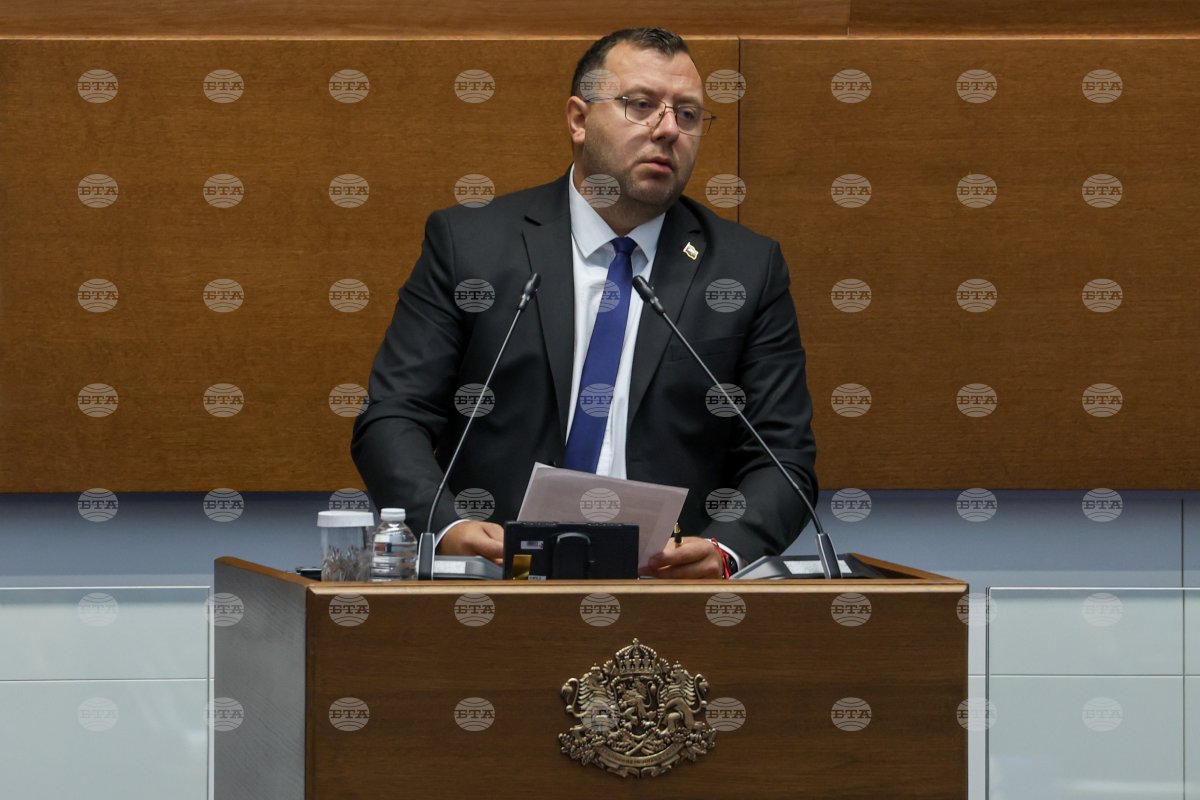 Vazrazhdane artan trafik ölümleri için hükümetten ortak rapor istedi