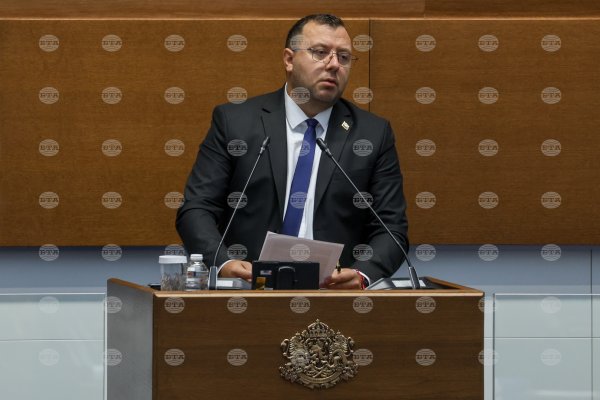 Vazrazhdane artan trafik ölümleri için hükümetten ortak rapor istedi