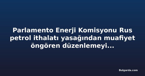 Parlamento Enerji Komisyonu Rus petrol ithalatı yasağından muafiyet öngören düzenlemeyi reddetti