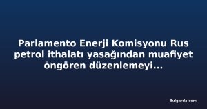 Parlamento Enerji Komisyonu Rus petrol ithalatı yasağından muafiyet öngören düzenlemeyi reddetti