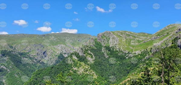 Bulgaristan, Avrupa'nın kadim kayın ormanları için UNESCO toplantısına ev sahipliği yaptı