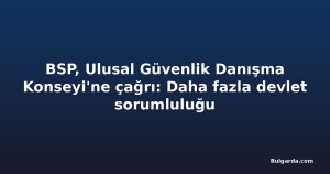 BSP, Ulusal Güvenlik Danışma Konseyi'ne çağrı: Daha fazla devlet sorumluluğu