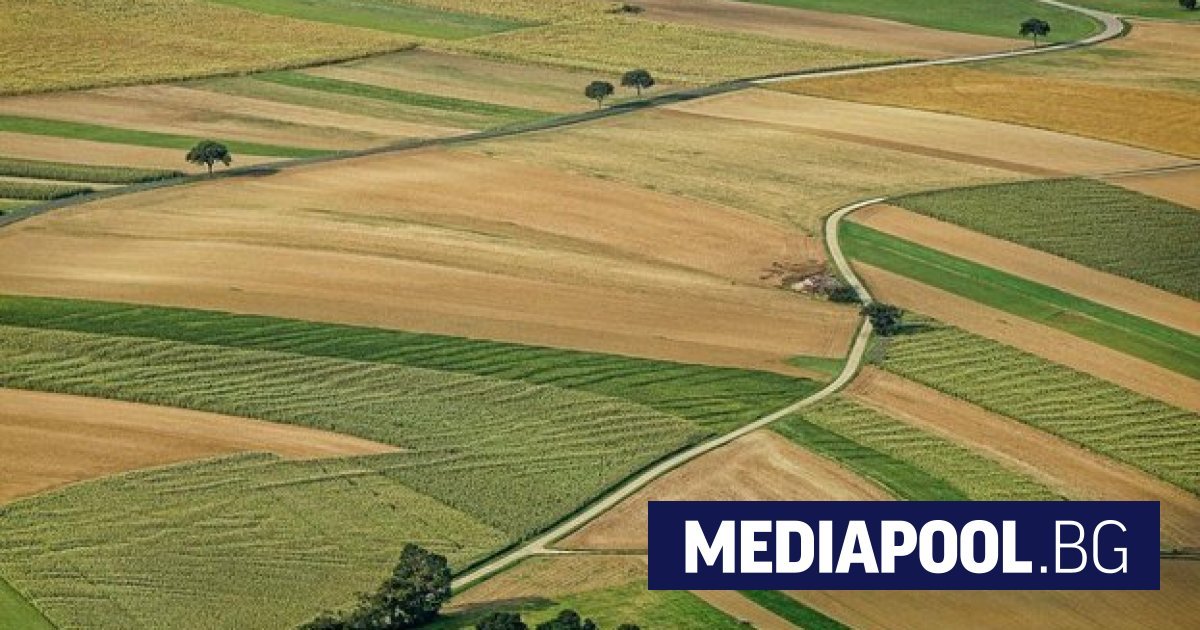 Ombudsman'dan "beyaz leke" tarım arazileri için e-platform önerisi