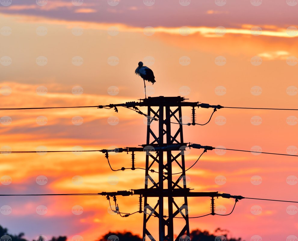 Bulgaristan'ın net elektrik ihracı yıl başından bu yana yüzde 62 arttı