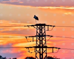 Bulgaristan'ın net elektrik ihracı yıl başından bu yana yüzde 62 arttı