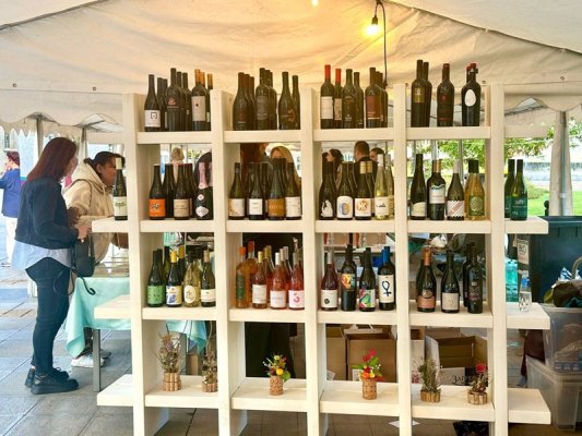 Rusçuk'ta ikinci Urban Wine Fest şaraplı sonbahara start verdi