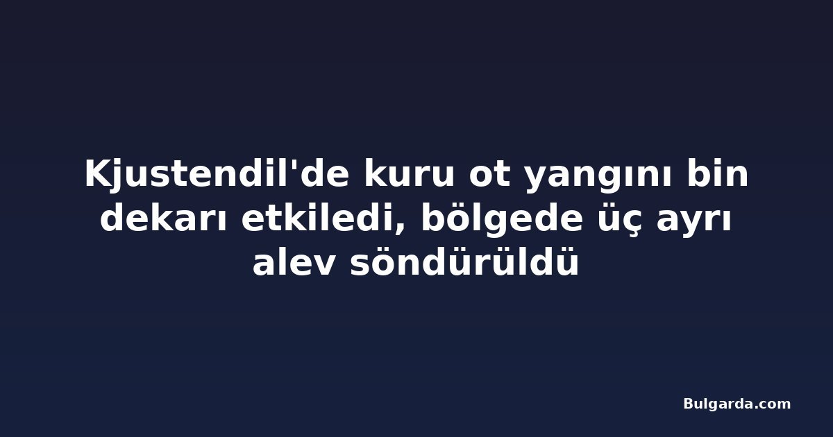Kjustendil'de kuru ot yangını bin dekarı etkiledi, bölgede üç ayrı alev söndürüldü