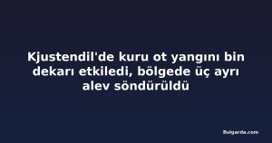 Kjustendil'de kuru ot yangını bin dekarı etkiledi, bölgede üç ayrı alev söndürüldü