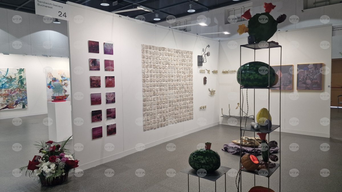 Sofya Sanat Fuarı kurucusu Suni Danadzha: Bulgaristan'da çağdaş sanata ilgi büyüyor