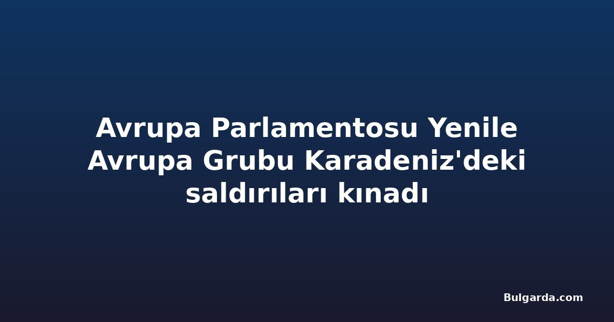 Avrupa Parlamentosu Yenile Avrupa Grubu Karadeniz'deki saldırıları kınadı