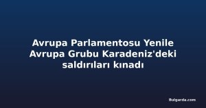 Avrupa Parlamentosu Yenile Avrupa Grubu Karadeniz'deki saldırıları kınadı